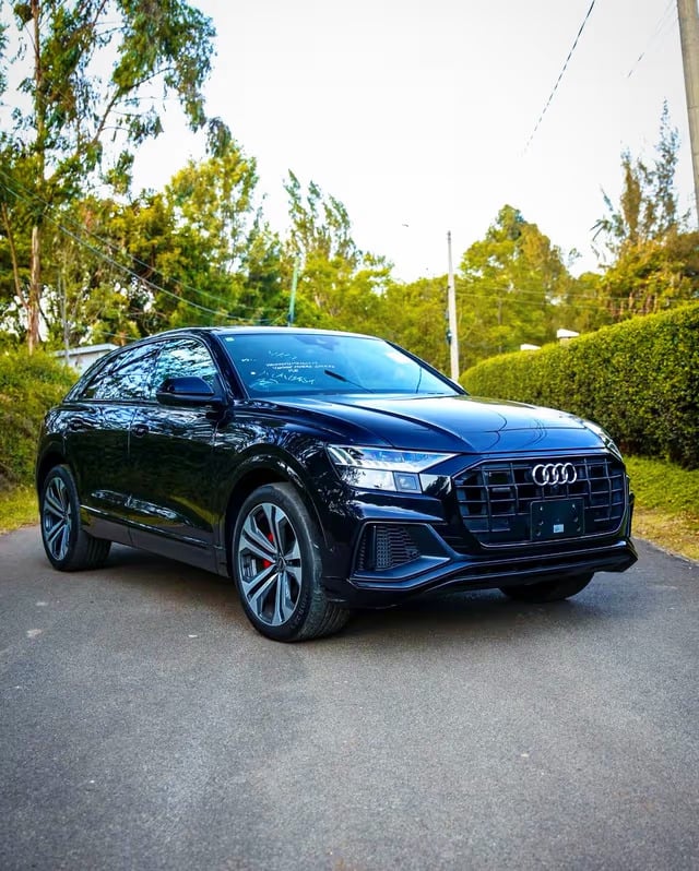 Audi Q8 Quattro, 2023